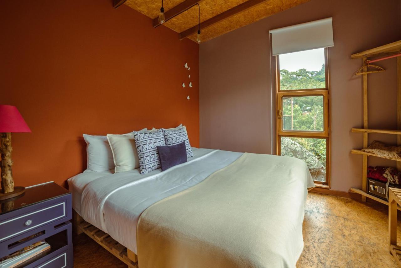 Coffee & Adventure Hotel By La Palma Y El Tucan Zipacon Buitenkant foto