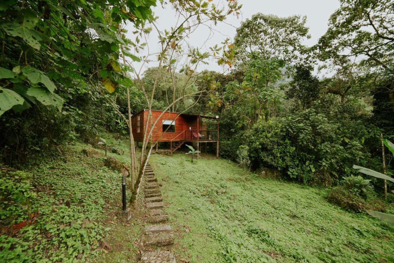 Coffee & Adventure Hotel By La Palma Y El Tucan Zipacon Buitenkant foto