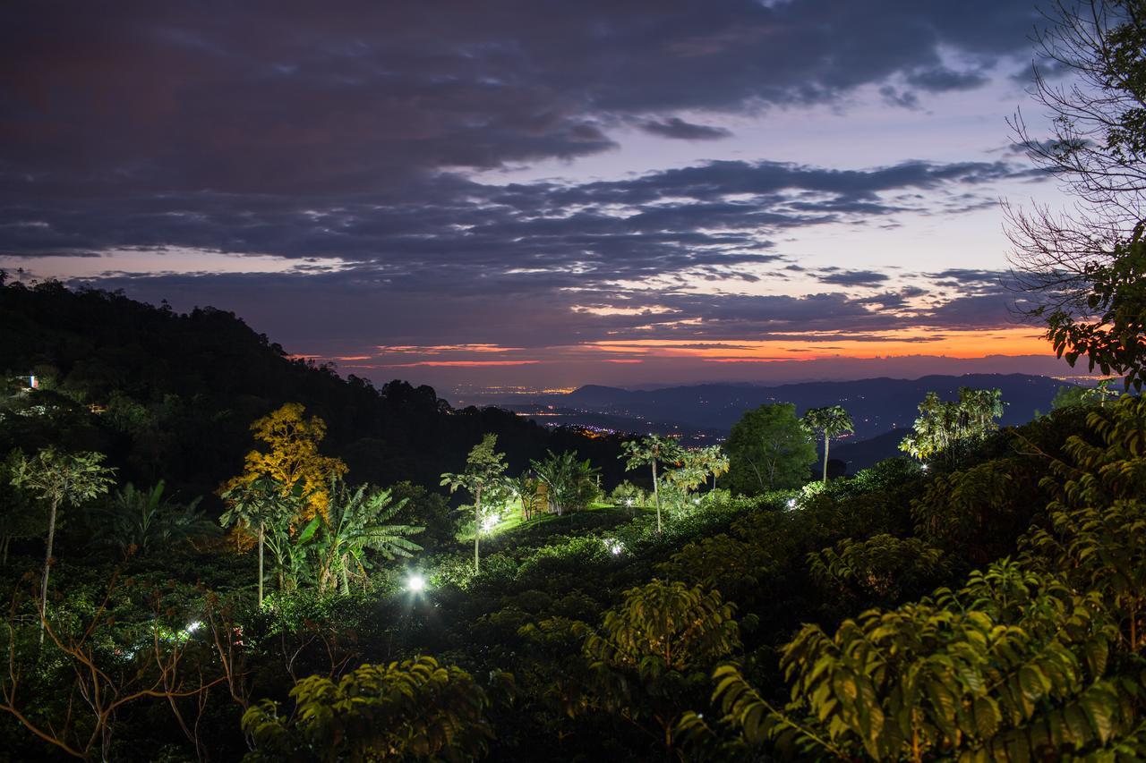 Coffee & Adventure Hotel By La Palma Y El Tucan Zipacon Buitenkant foto
