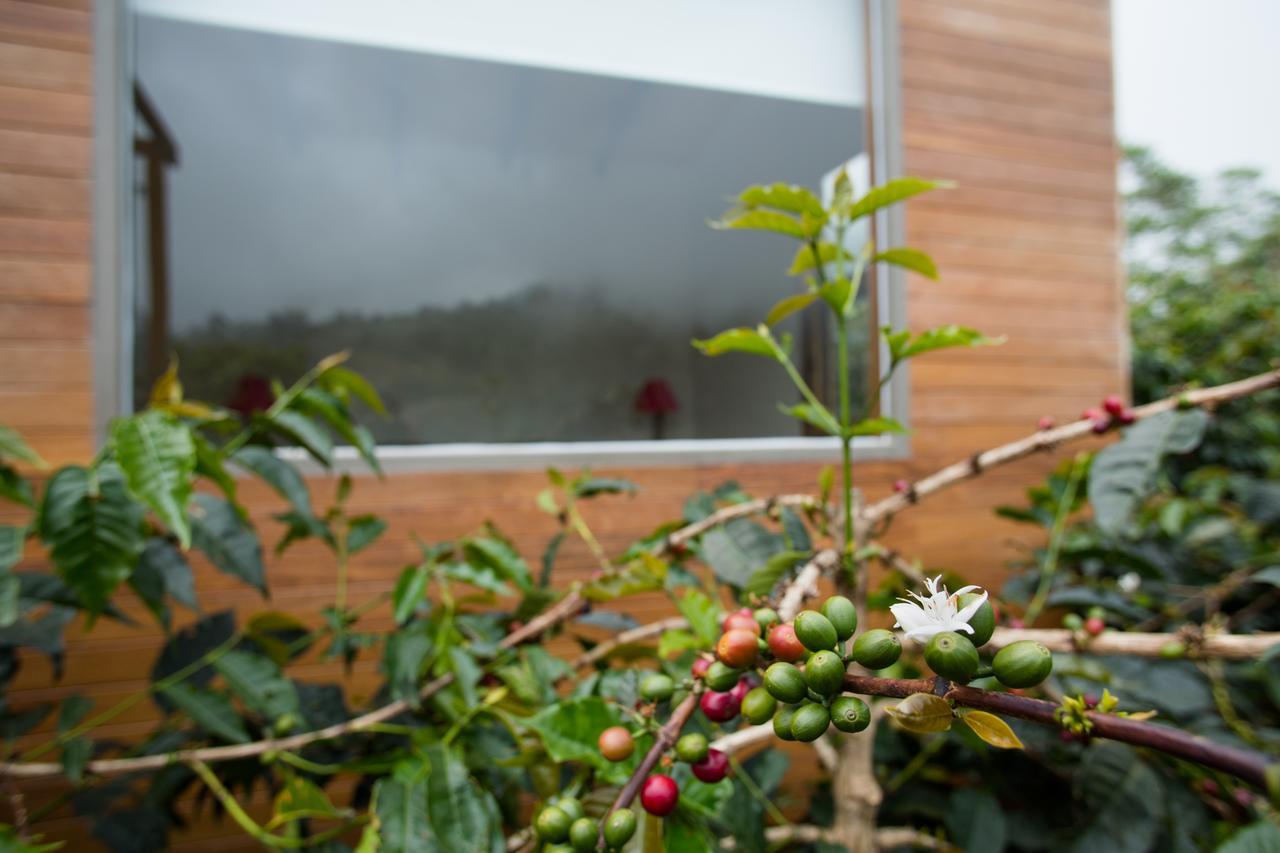 Coffee & Adventure Hotel By La Palma Y El Tucan Zipacon Buitenkant foto