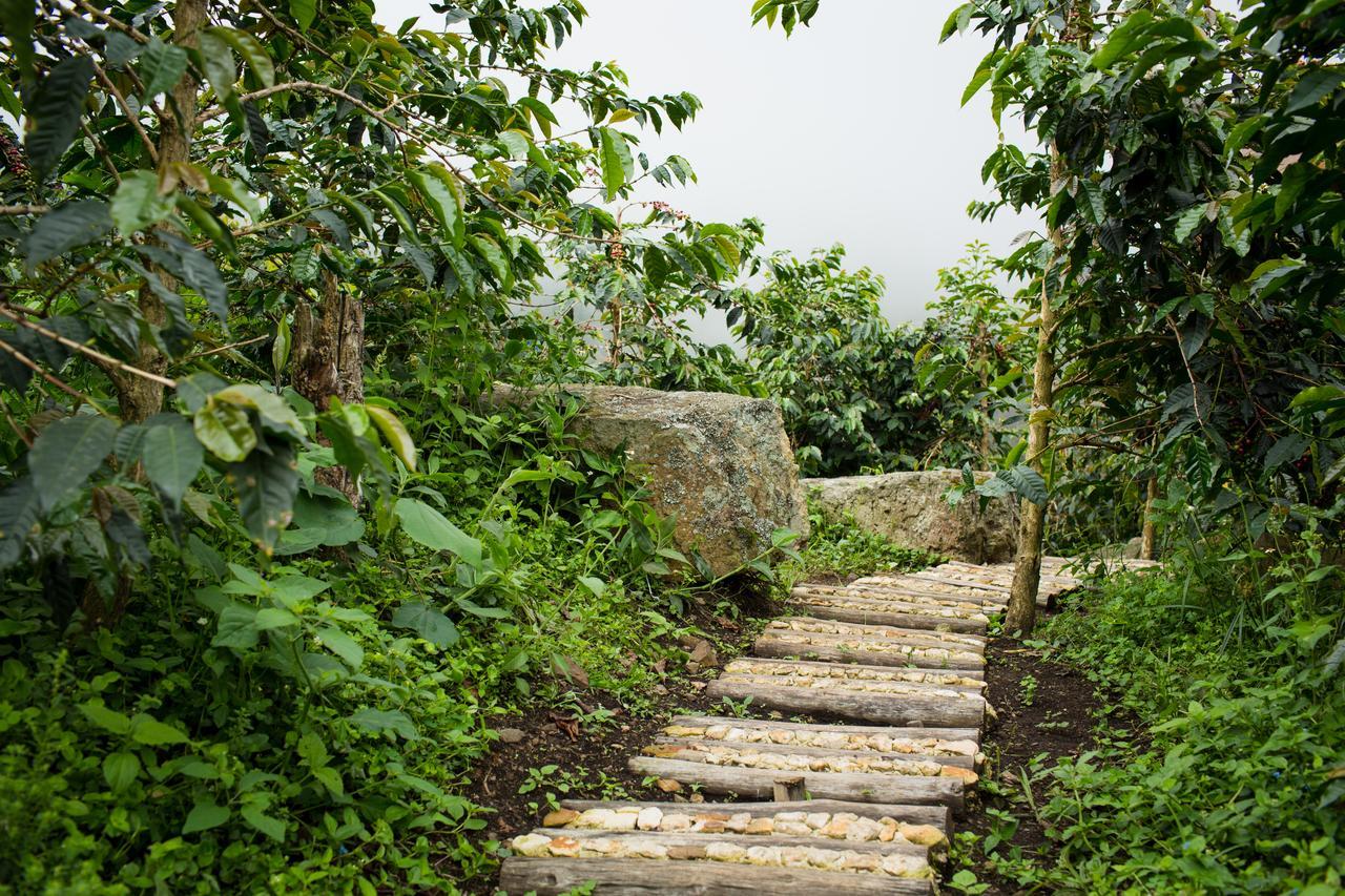 Coffee & Adventure Hotel By La Palma Y El Tucan Zipacon Buitenkant foto
