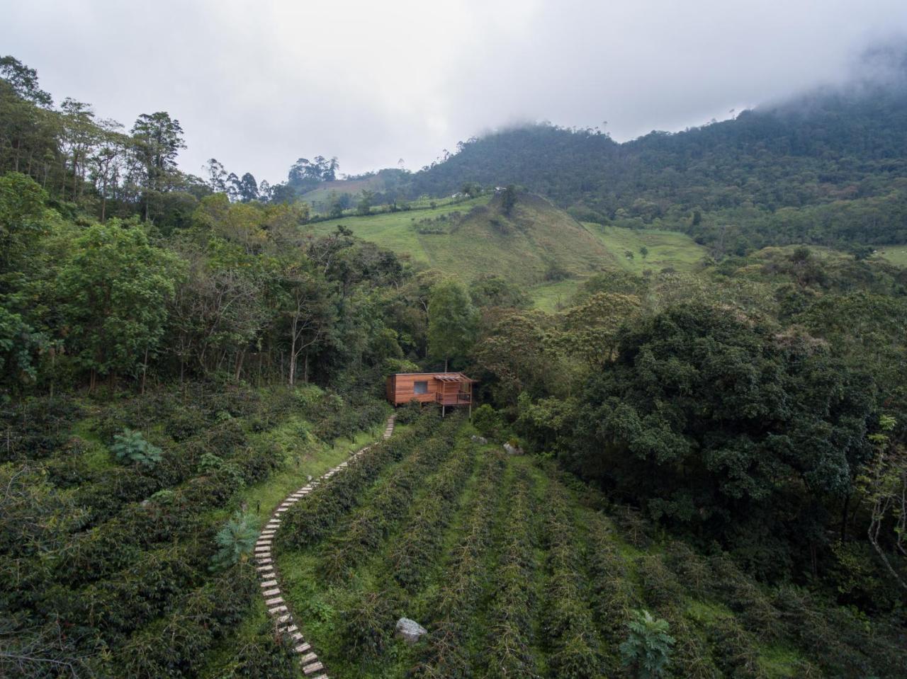 Coffee & Adventure Hotel By La Palma Y El Tucan Zipacon Buitenkant foto